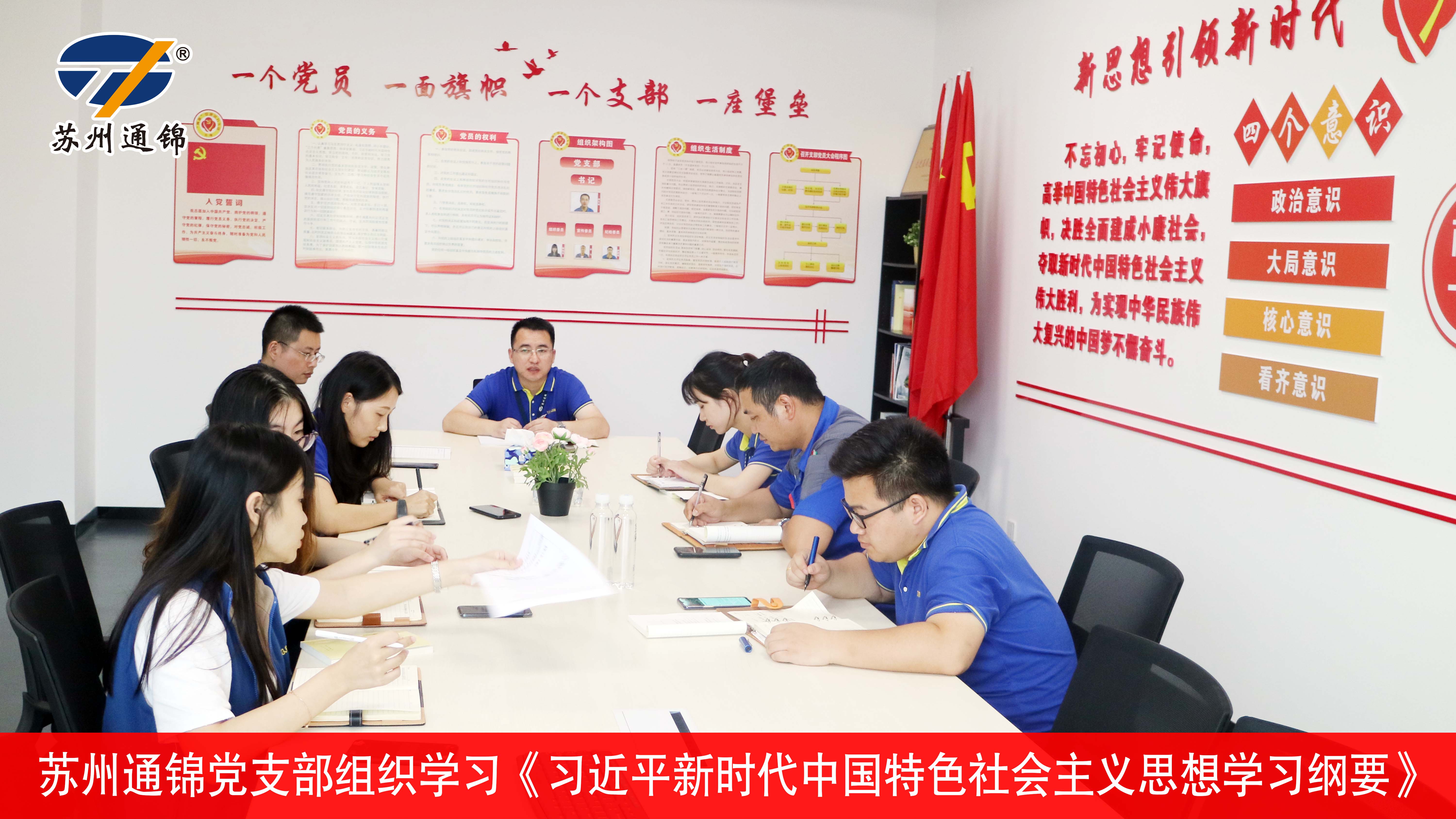 我司党支部组织学习《习近平新时代中国特色社会主义思想学习纲要》